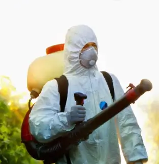 destruction de nids de guêpes Dugny