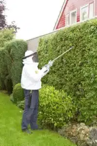 exterminateur de guêpes