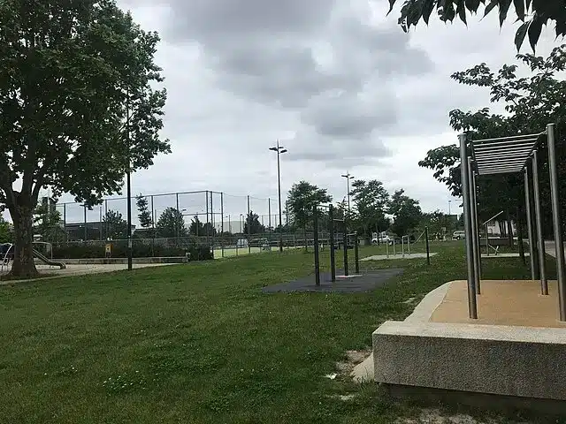 destruction de nids de guêpes Stain