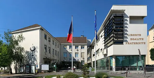 destruction de nids de guêpes Villepinte