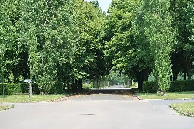 destruction de nids de guêpes Le Thiais