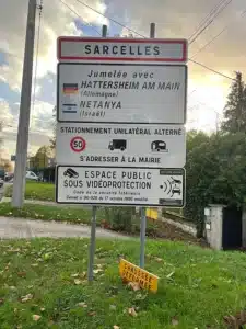 destruction de nids de guepes sarcelles