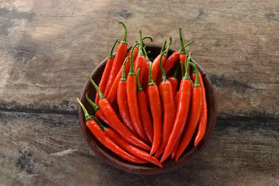piment de cayenne, un anti rats notoire