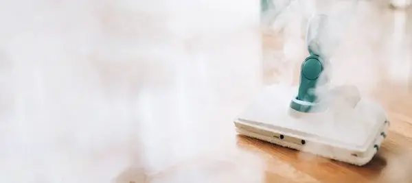 Tout savoir sur le traitement vapeur seche punaise de lit