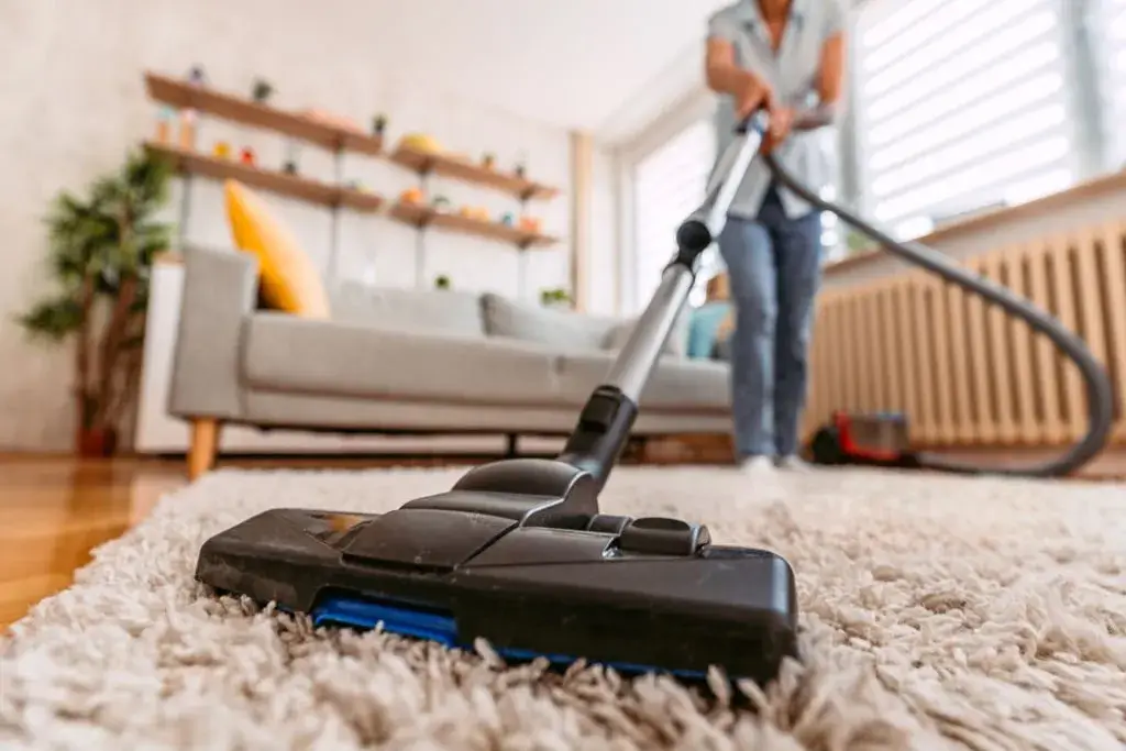 Aspiration des œufs d'invasion de cafards