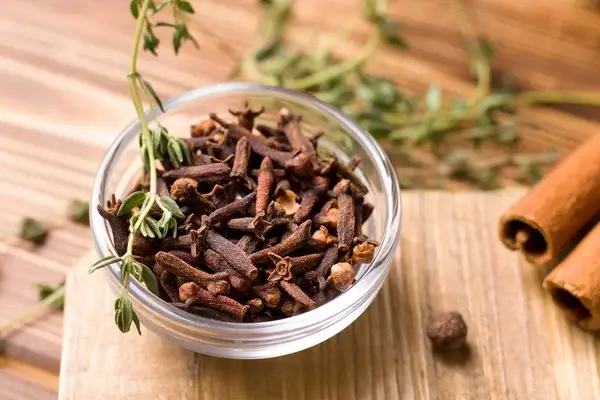 le clou de girofle, un répulsif frelons asiatiques efficace !